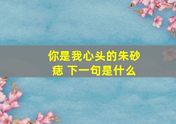 你是我心头的朱砂痣 下一句是什么